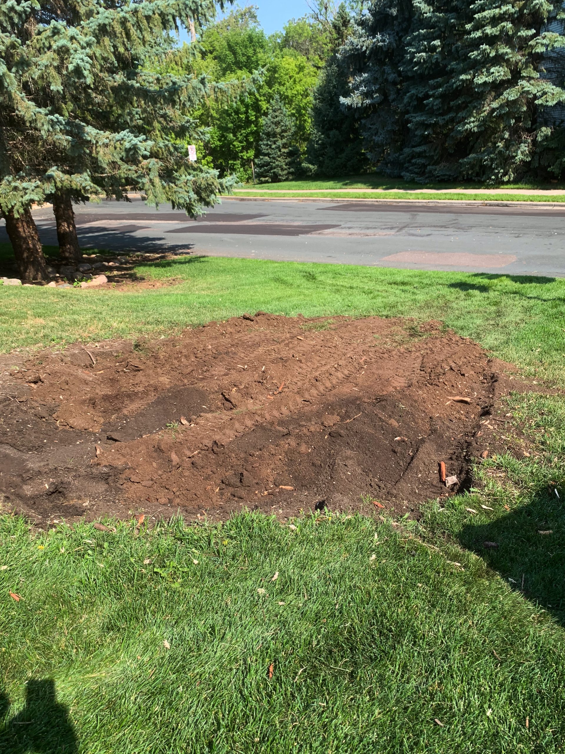 Finished stump grinding job in Otsego, MN