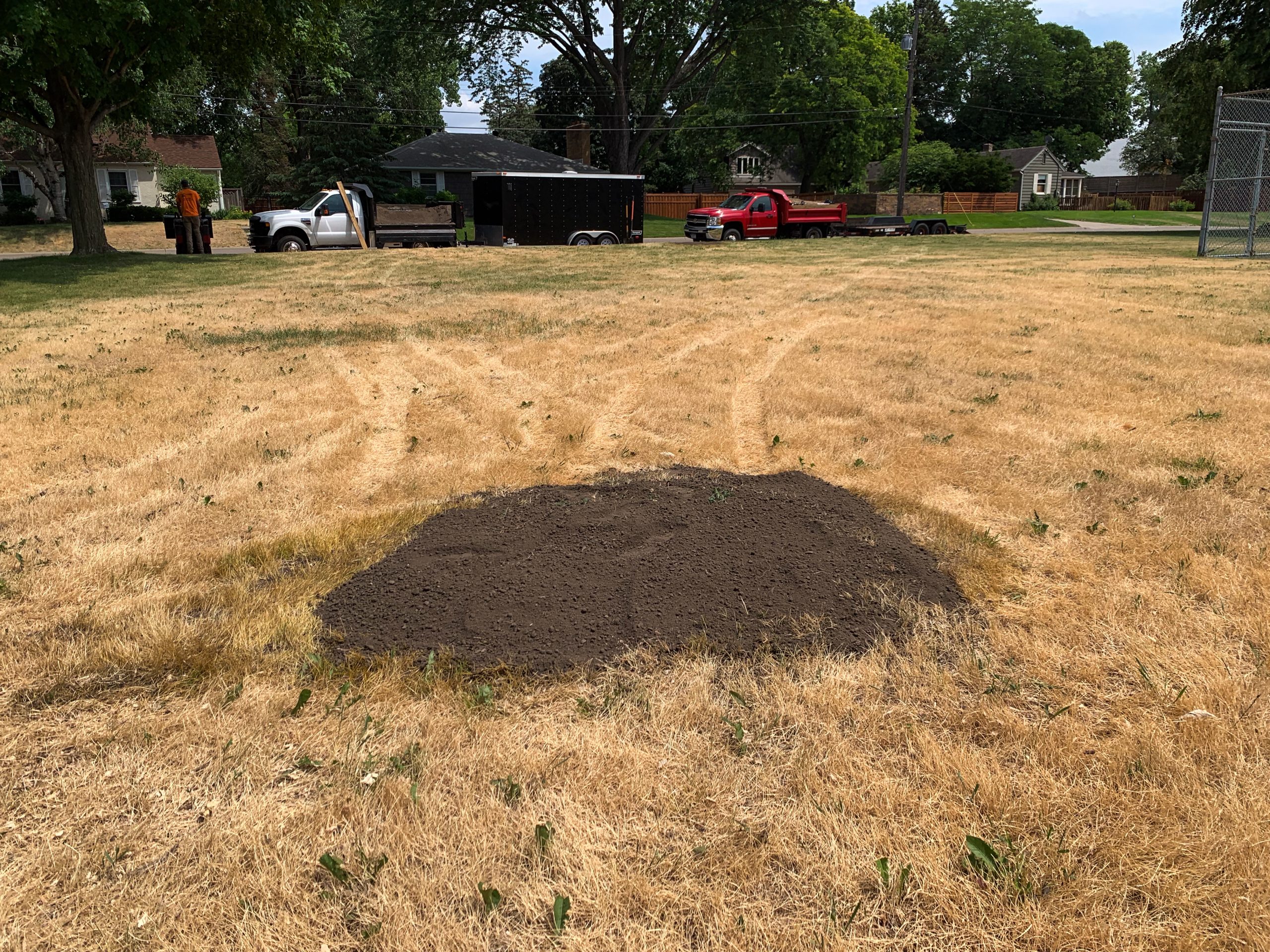 Finished stump grinding job in Rosemount, MN