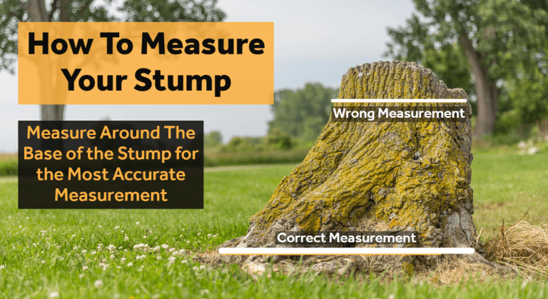 How to Accurately Measure a Tree Stump