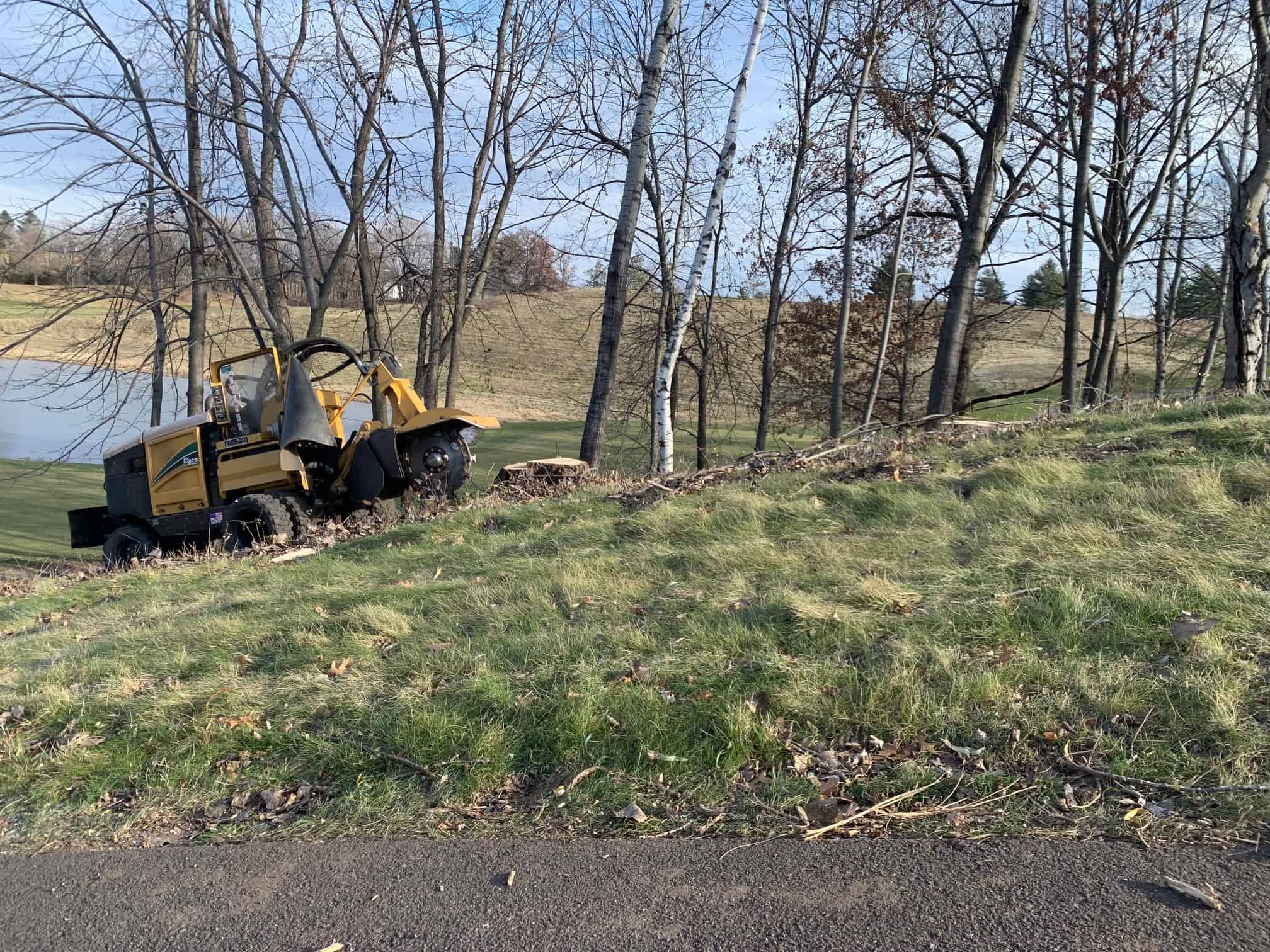 Tree stump removal Osseo