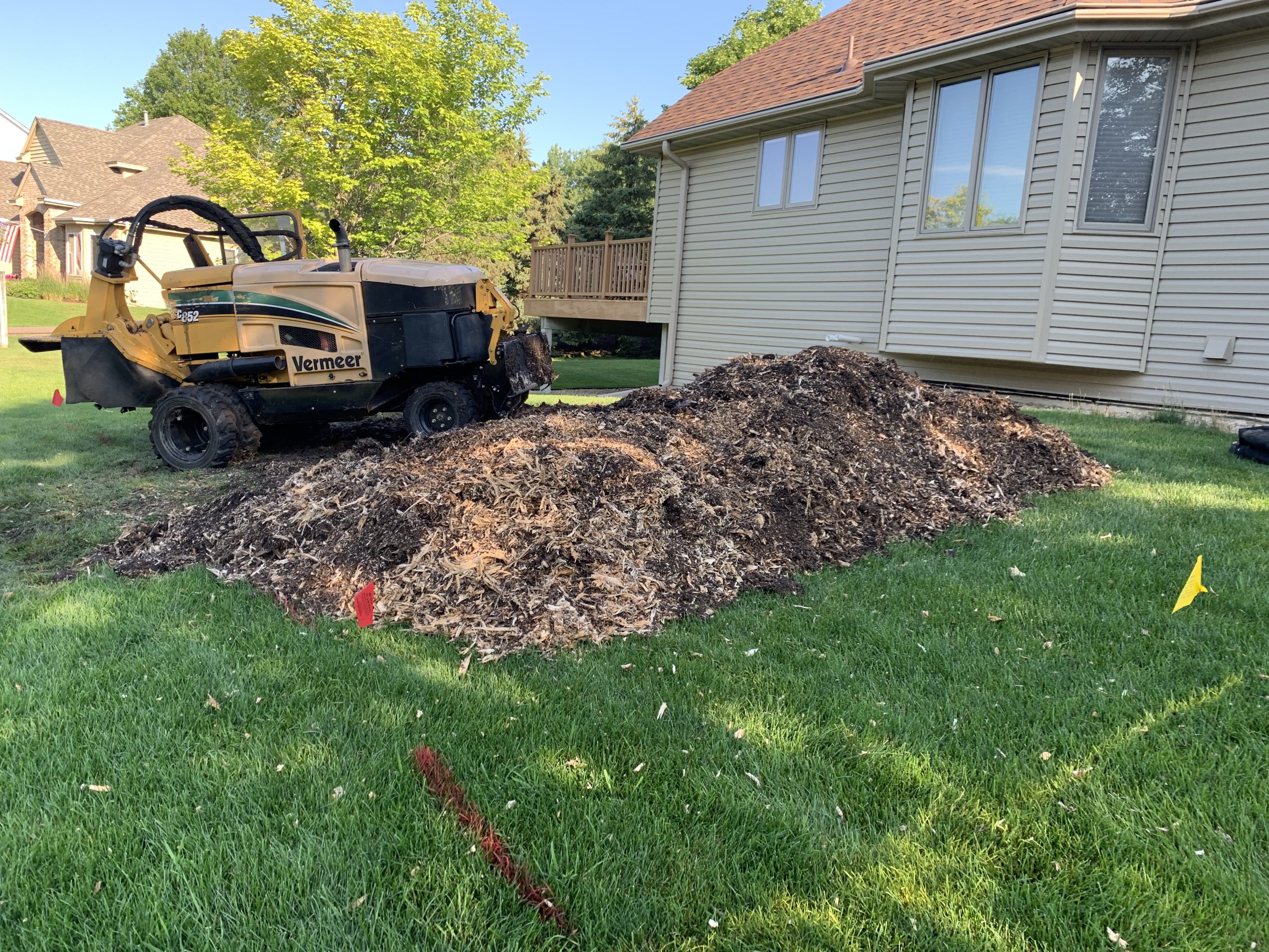After stump grinding by Bye Bye Stumps