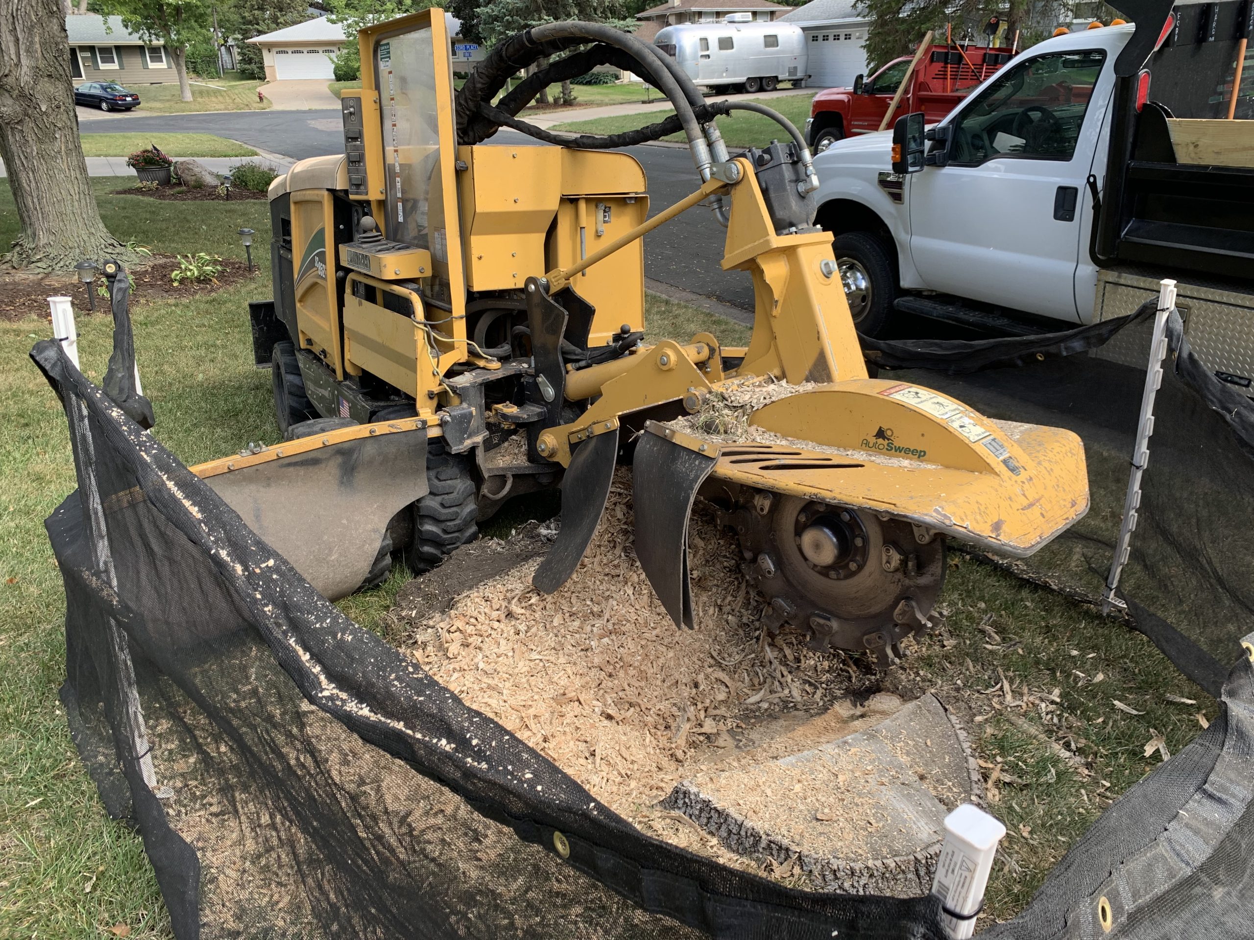 Before stump grinding by Bye Bye Stumps